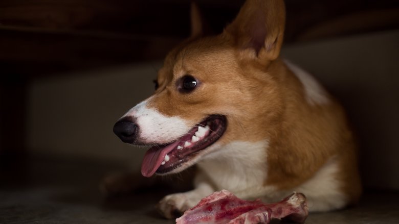 Keluarga Kerajaan Inggris Punya Kebiasaan Makan Unik